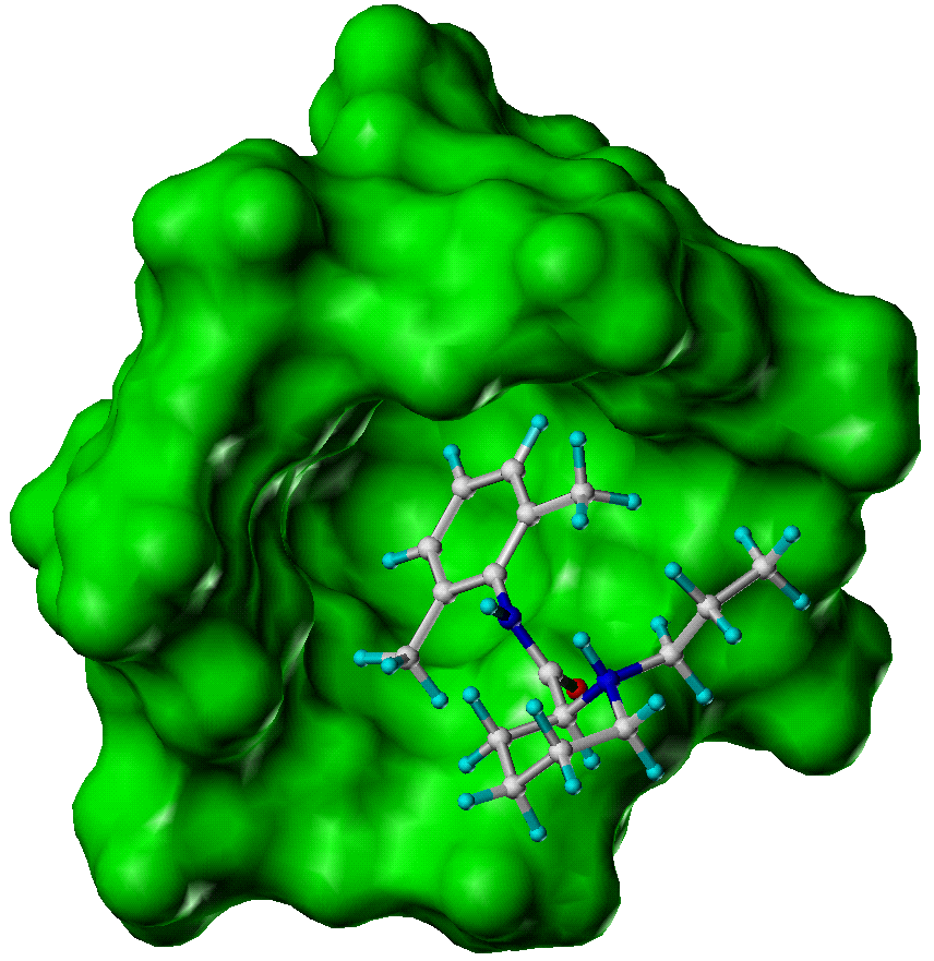 Chiral complex between (S)-ropivacaine and demethyl-beta-cyclodextrin